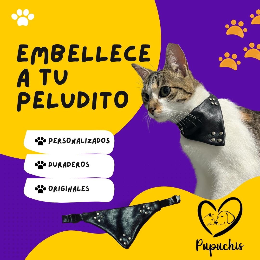 Accesorios para mascota al por mayor