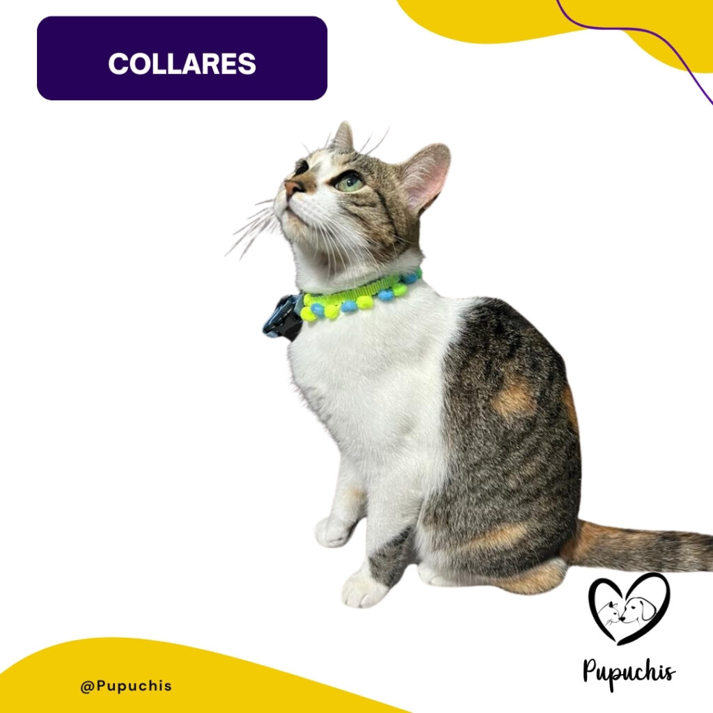 Collares para mascotas al por mayor y detal